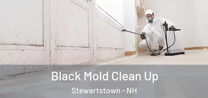  Black Mold Clean Up Stewartstown - NH