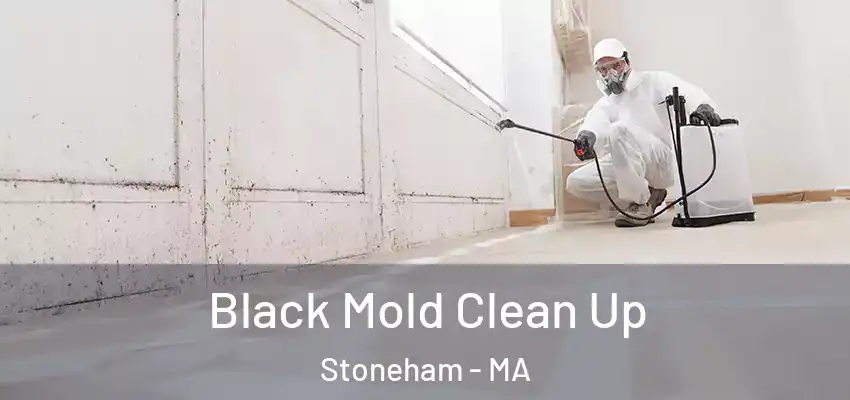 Black Mold Clean Up Stoneham - MA