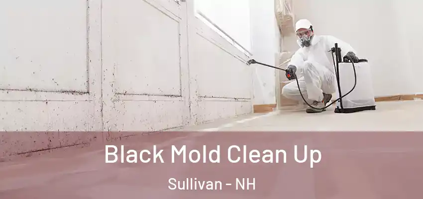 Black Mold Clean Up Sullivan - NH