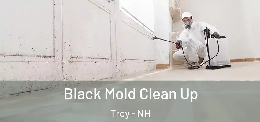  Black Mold Clean Up Troy - NH