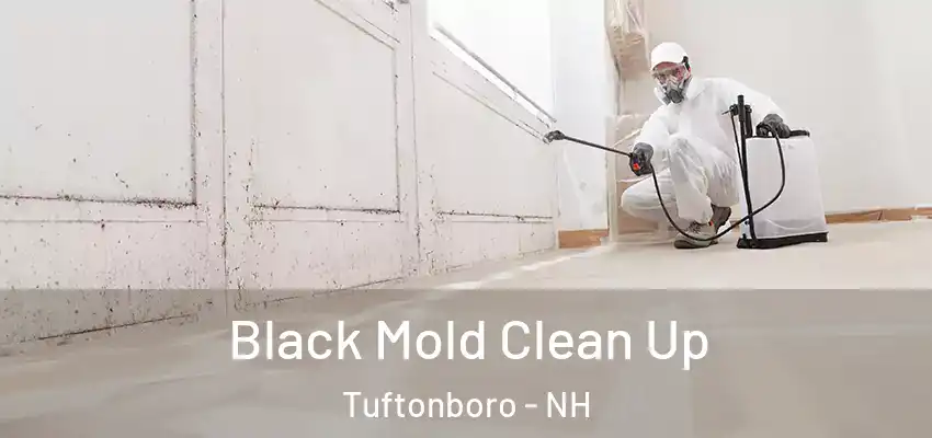  Black Mold Clean Up Tuftonboro - NH
