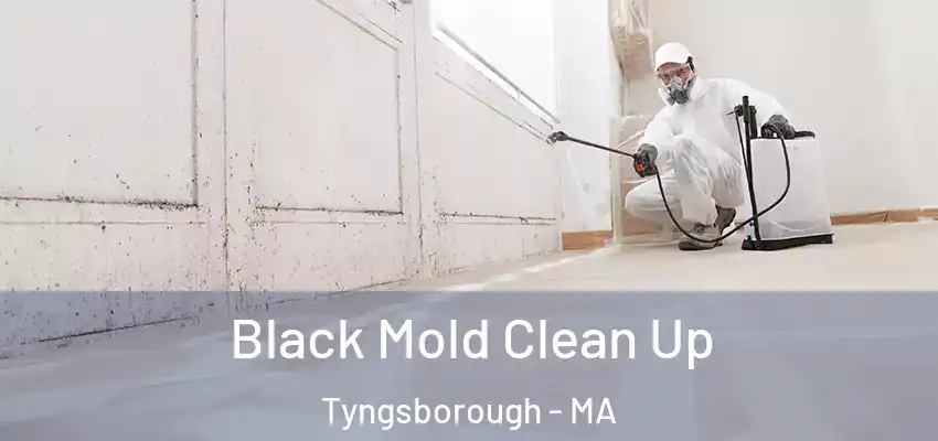  Black Mold Clean Up Tyngsborough - MA