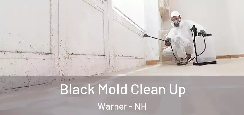 Black Mold Clean Up Warner - NH