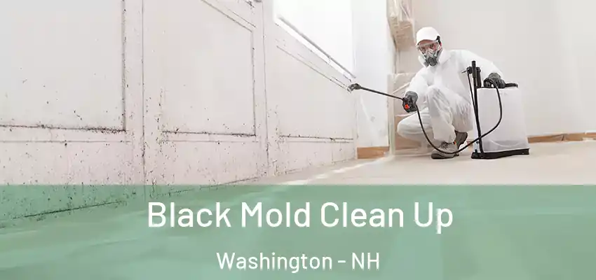 Black Mold Clean Up Washington - NH