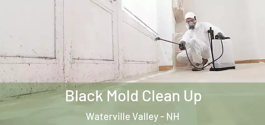 Black Mold Clean Up Waterville Valley - NH