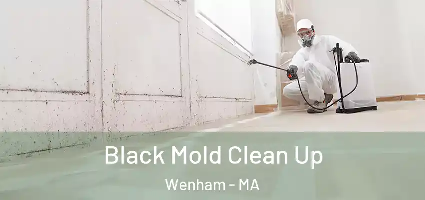 Black Mold Clean Up Wenham - MA
