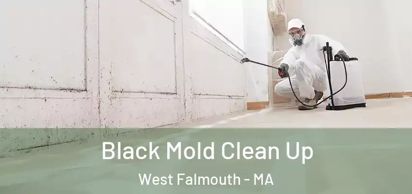 Black Mold Clean Up West Falmouth - MA