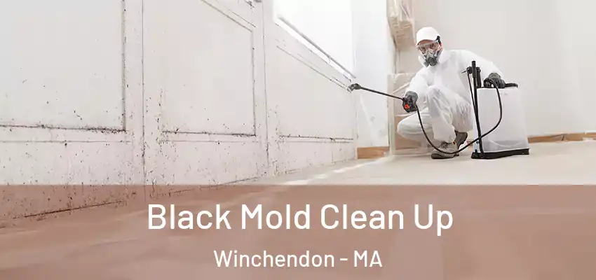  Black Mold Clean Up Winchendon - MA