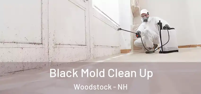  Black Mold Clean Up Woodstock - NH