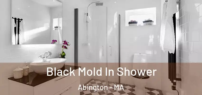  Black Mold In Shower Abington - MA