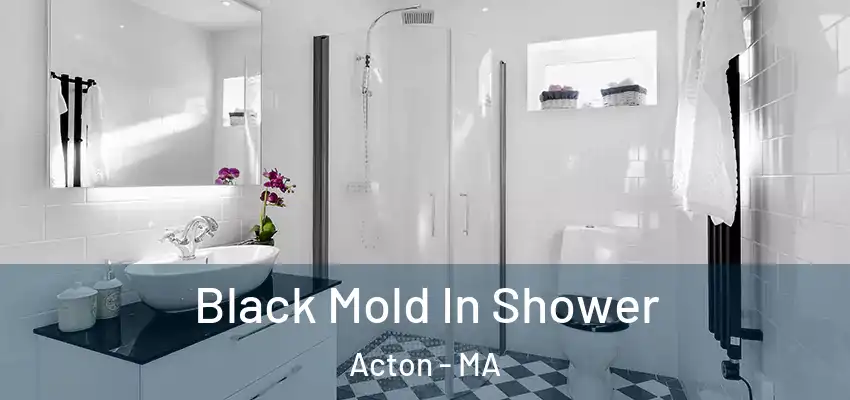Black Mold In Shower Acton - MA