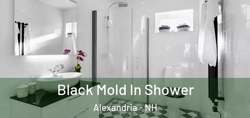  Black Mold In Shower Alexandria - NH
