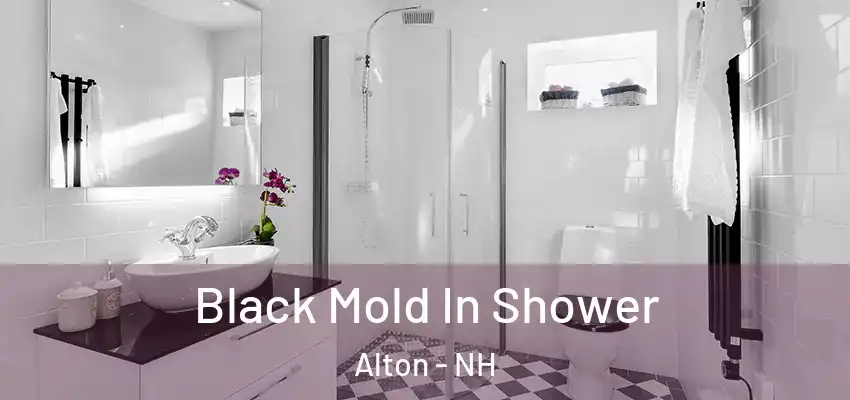  Black Mold In Shower Alton - NH