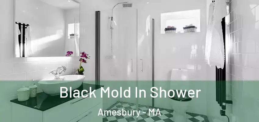  Black Mold In Shower Amesbury - MA