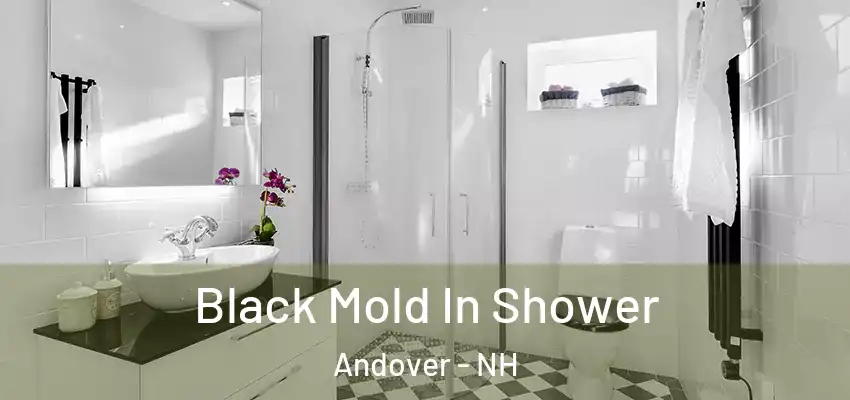 Black Mold In Shower Andover - NH