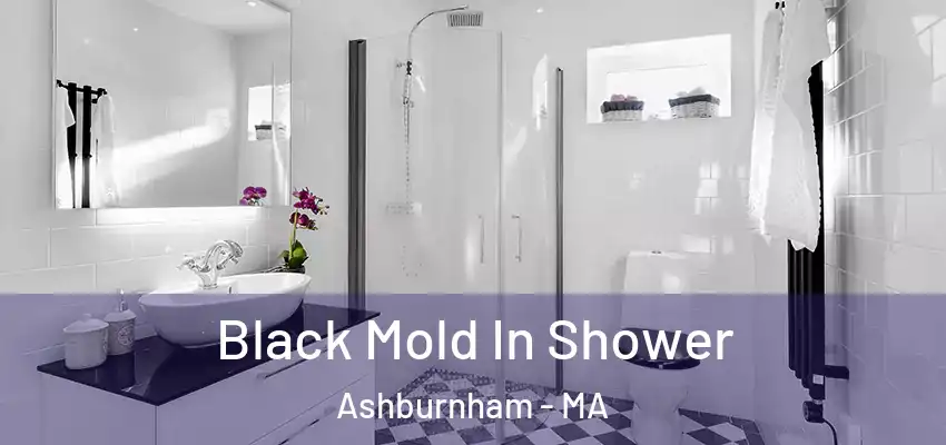  Black Mold In Shower Ashburnham - MA