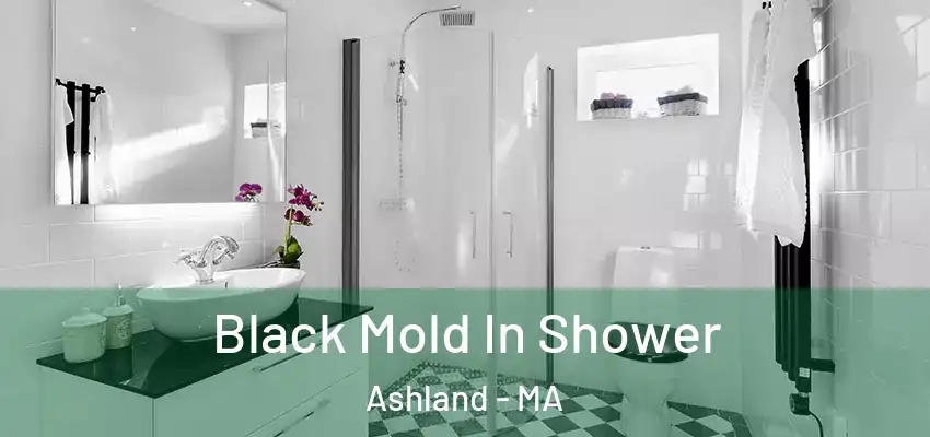 Black Mold In Shower Ashland - MA