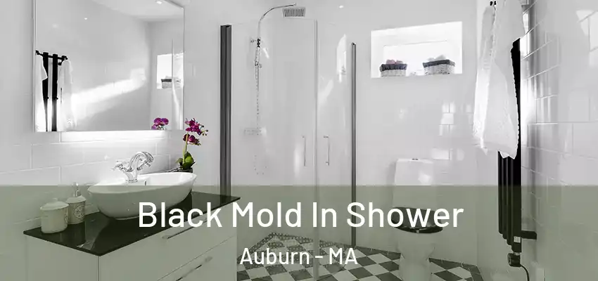  Black Mold In Shower Auburn - MA