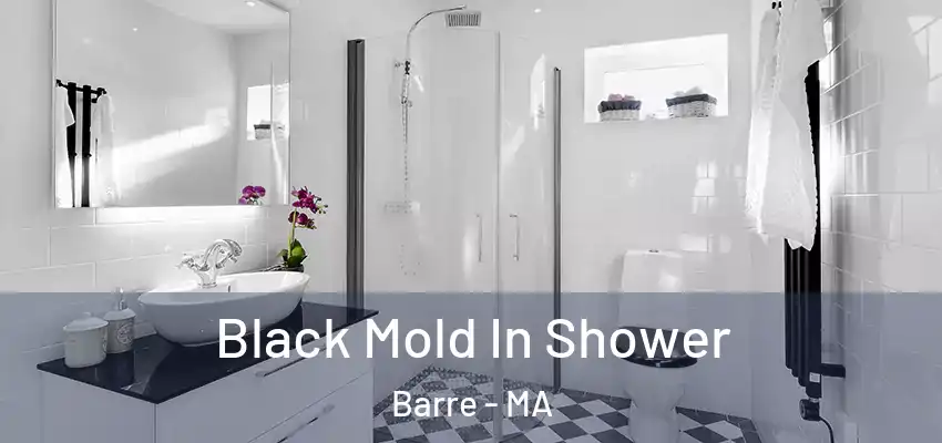  Black Mold In Shower Barre - MA