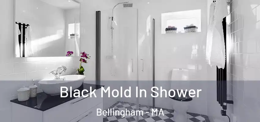  Black Mold In Shower Bellingham - MA
