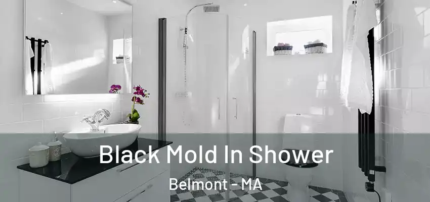  Black Mold In Shower Belmont - MA