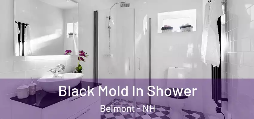  Black Mold In Shower Belmont - NH