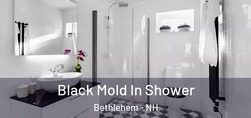 Black Mold In Shower Bethlehem - NH