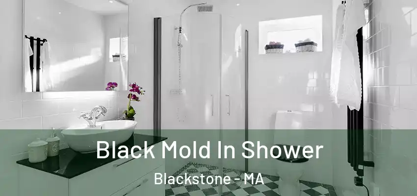 Black Mold In Shower Blackstone - MA