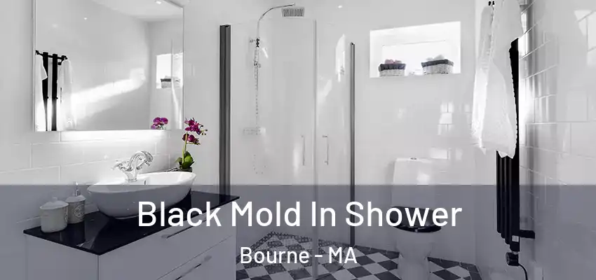  Black Mold In Shower Bourne - MA