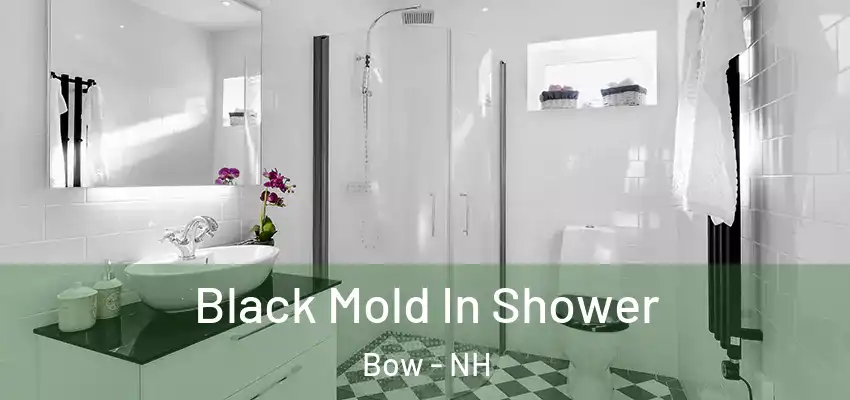 Black Mold In Shower Bow - NH