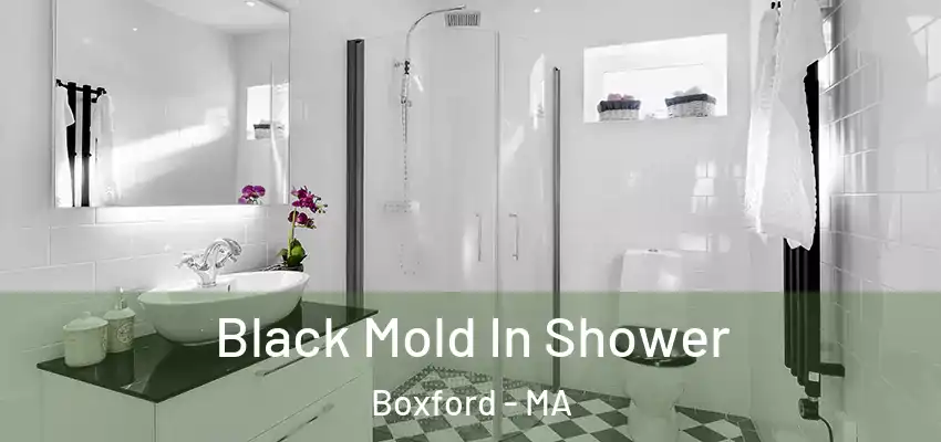  Black Mold In Shower Boxford - MA