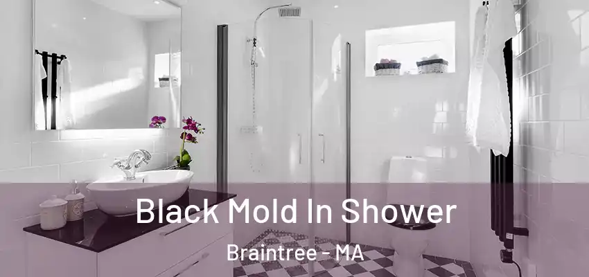  Black Mold In Shower Braintree - MA