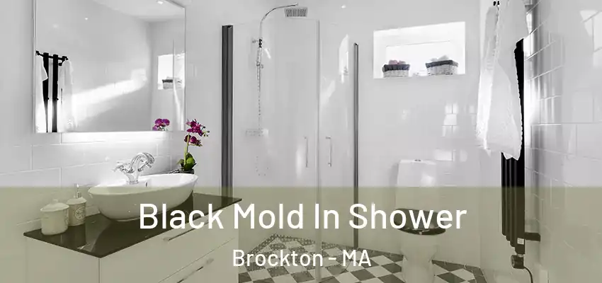 Black Mold In Shower Brockton - MA