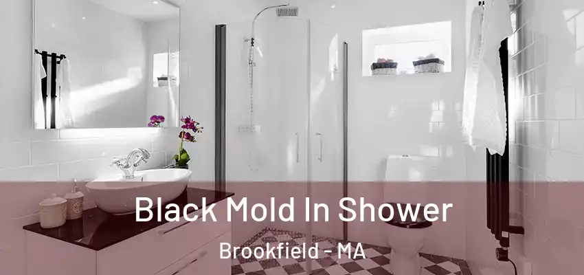 Black Mold In Shower Brookfield - MA
