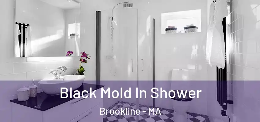 Black Mold In Shower Brookline - MA