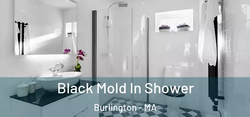 Black Mold In Shower Burlington - MA