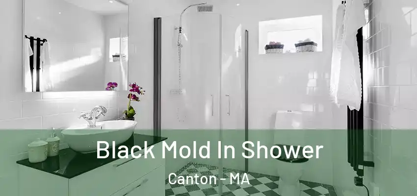  Black Mold In Shower Canton - MA