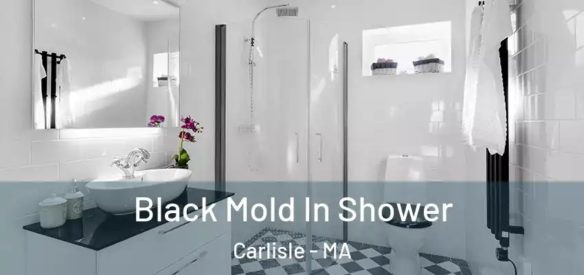 Black Mold In Shower Carlisle - MA