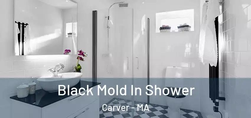  Black Mold In Shower Carver - MA