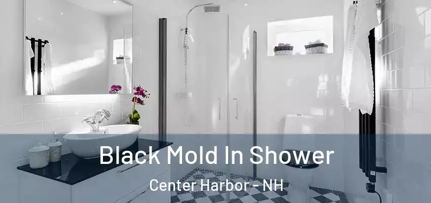  Black Mold In Shower Center Harbor - NH