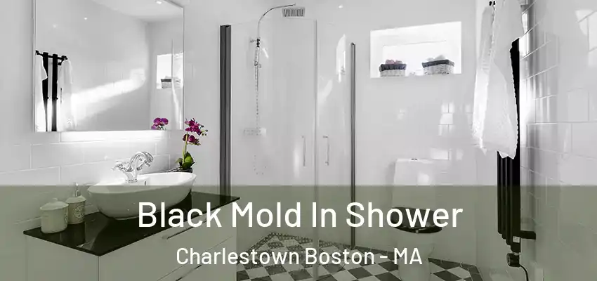 Black Mold In Shower Charlestown Boston - MA