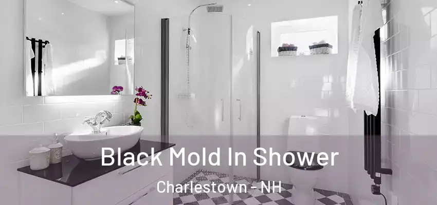 Black Mold In Shower Charlestown - NH