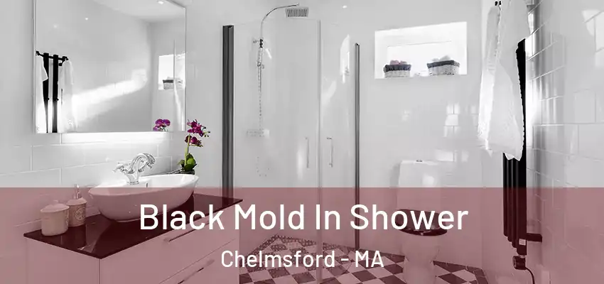  Black Mold In Shower Chelmsford - MA