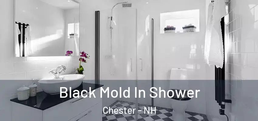 Black Mold In Shower Chester - NH