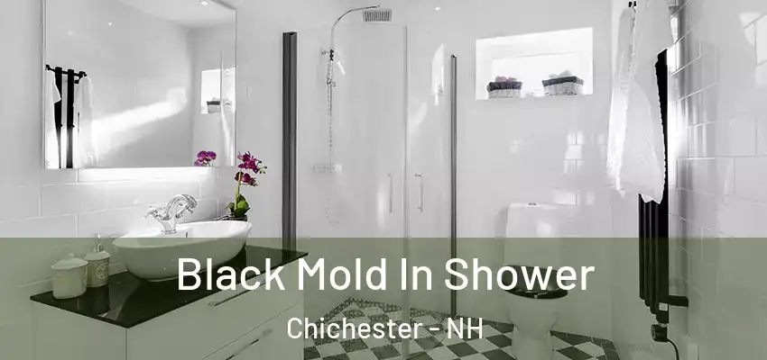 Black Mold In Shower Chichester - NH