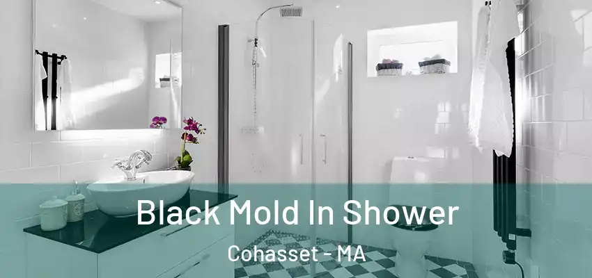Black Mold In Shower Cohasset - MA