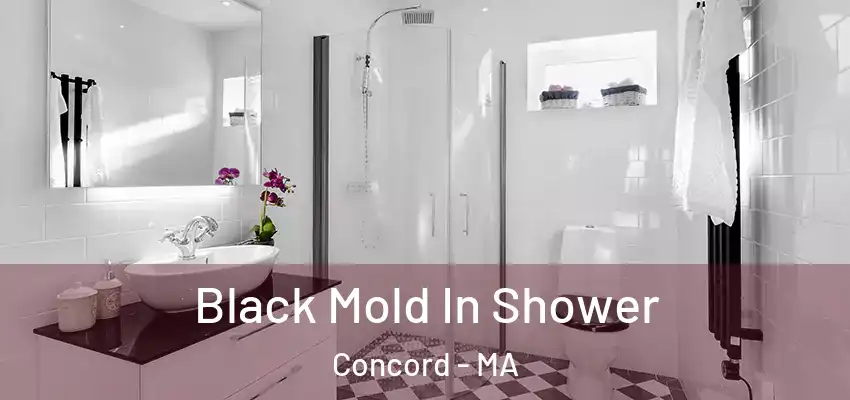 Black Mold In Shower Concord - MA