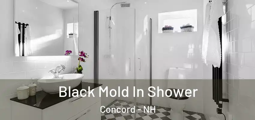 Black Mold In Shower Concord - NH