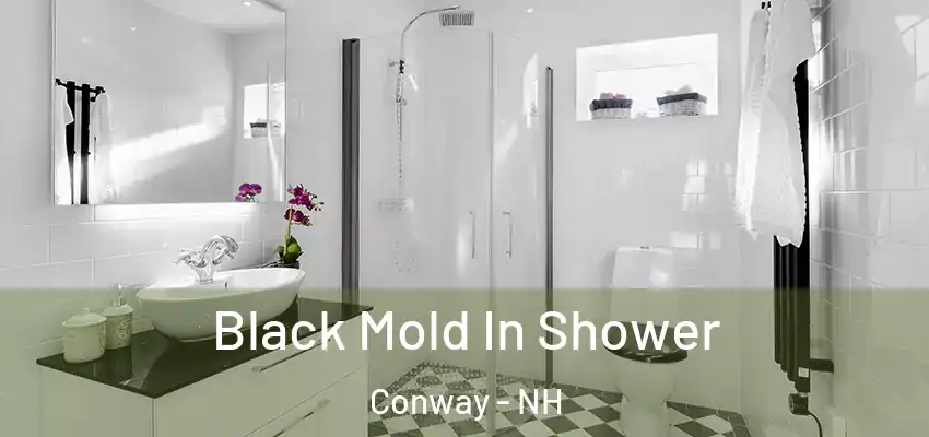 Black Mold In Shower Conway - NH