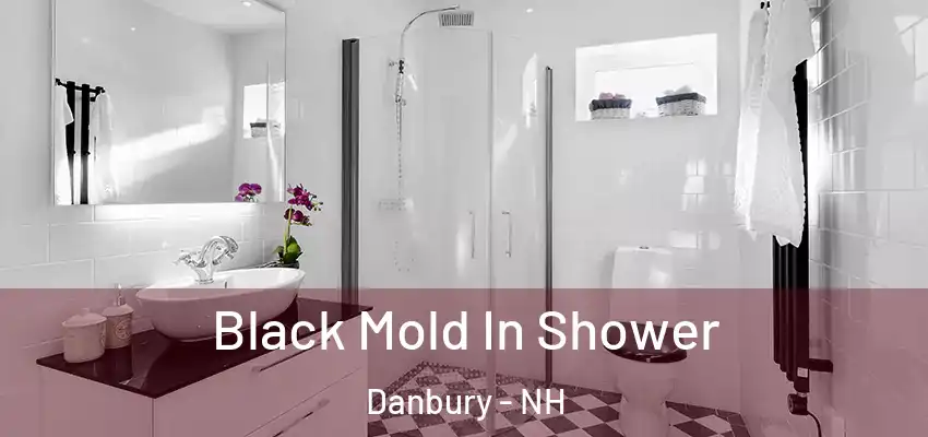 Black Mold In Shower Danbury - NH